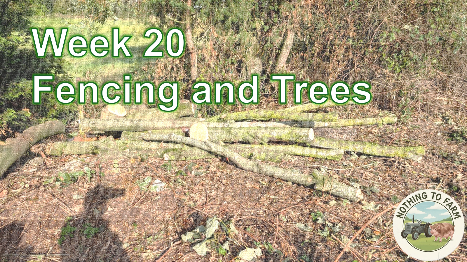 Wk20 – Fencing and Trees