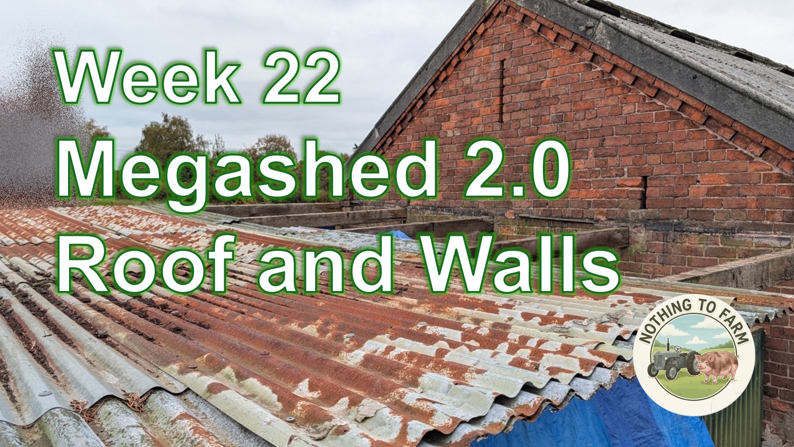 Wk22 – Walls
