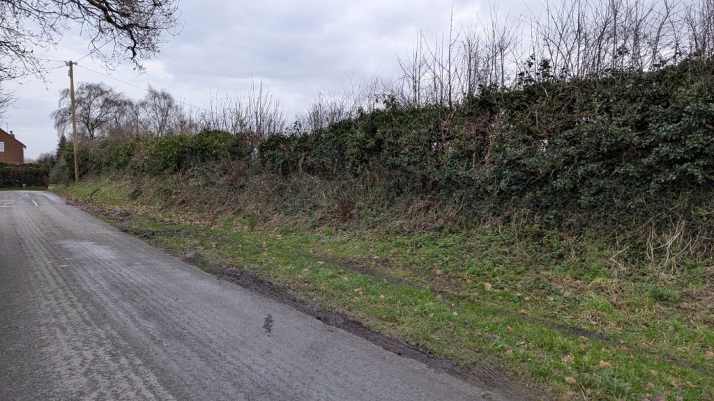 Hedges as they stood in 2024