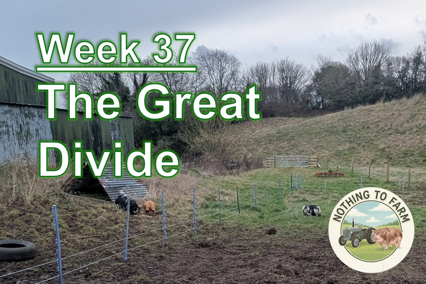 Wk37 – The Great Divide